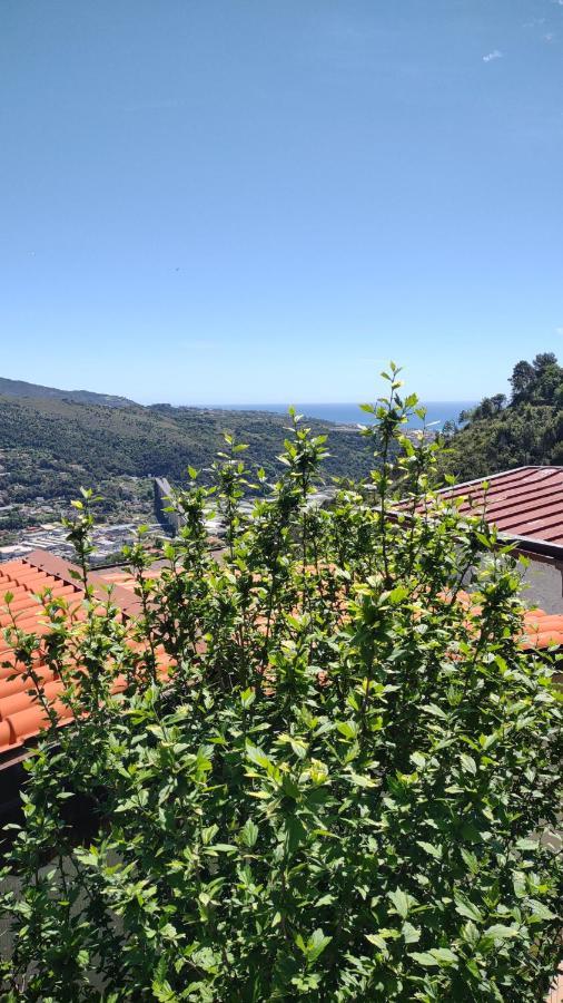 Bungalow Sixdays 3 Camporosso  Exterior foto